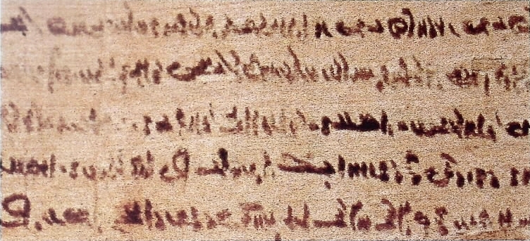 Elegante scrittura demotica da un grande papiro datato al 210 a.C., lungo 1 metro largo 30 cm, che conserva il testo del contratto di vendita di una casa. Museo Civico Archeologico, part. del papiro ks 3172 vetr. 2, Bologna