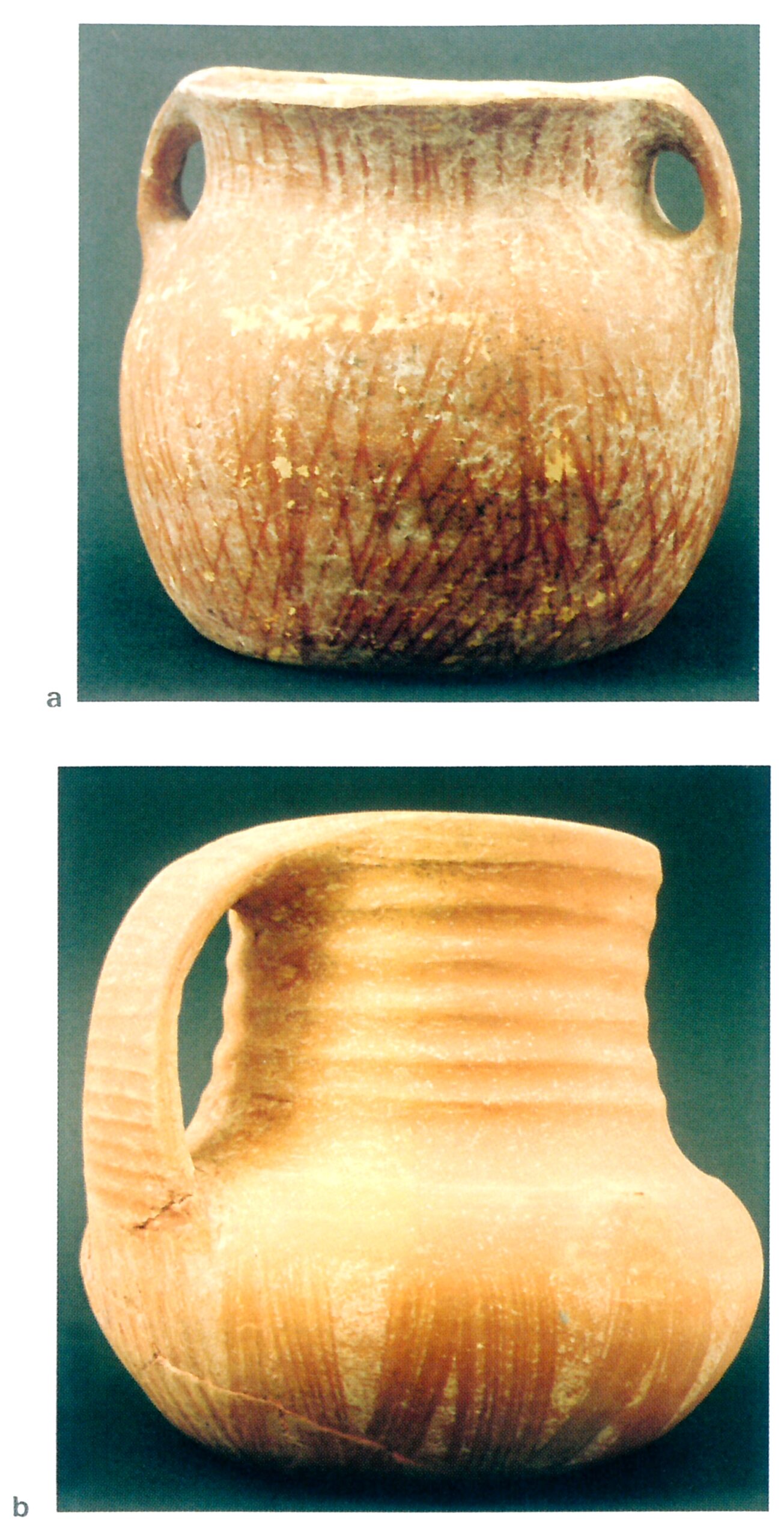 Fig. 2 Cagliari, Tomba IV di via Basilicata: ceramiche a impasti subfigulini gialli nel corredo funebre di stile Monte Claro: a, olletta biansata a ingabbiatura d'ocra rossa, decorata con reticolato a stecca; b, boccale con larga ansa nastriforme ornata da scanalature orizzontali sul collo e una larga fascia a zig zag in tecnica a stralucido sul corpo (v. Tav. 5, 21). (foto E. Atzeni).